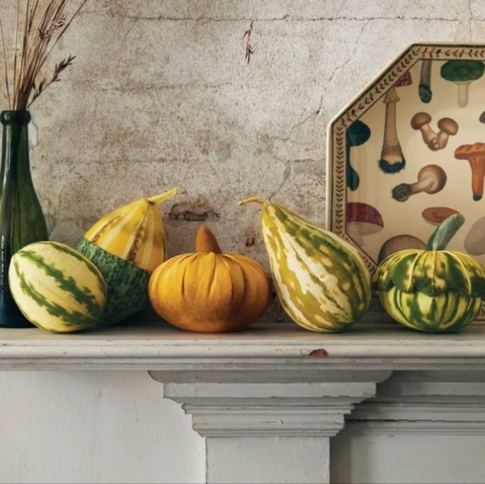 NWT John Derian for Target Gourd Pillows, 5 pieces, Fall, Thanksgiving theme